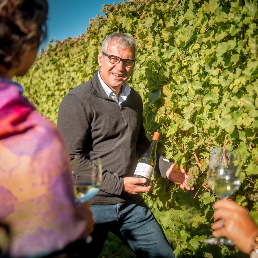 Beverage Brothers partners with Steve Bird Wines